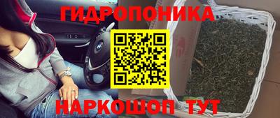 дживик Кингисепп