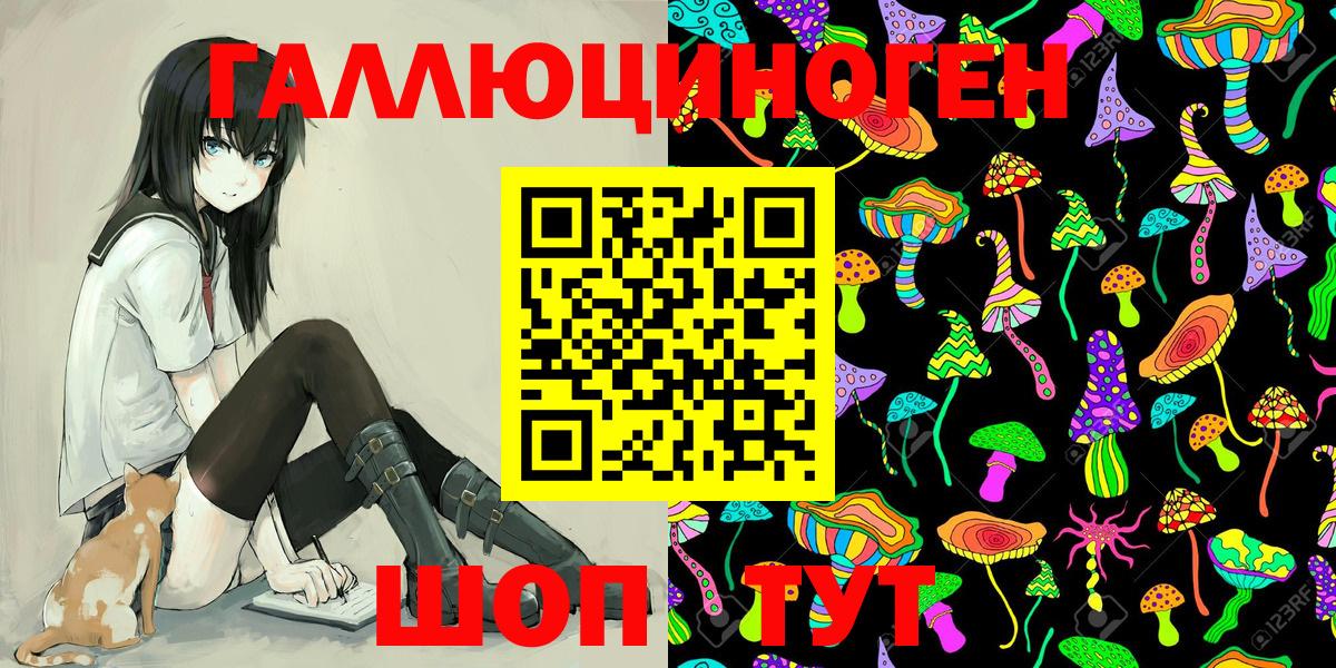 Фролово  Галлюциногенные грибы Psilocybe  Вход с VPN 